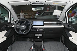 Adults Vehicle