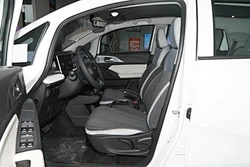 Adults Vehicle