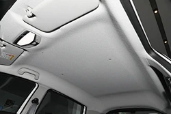 Adults Vehicle